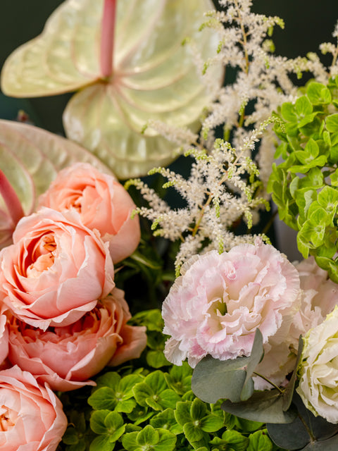 APRICOT TAN - BLISS FLOWER BOUTIQUE