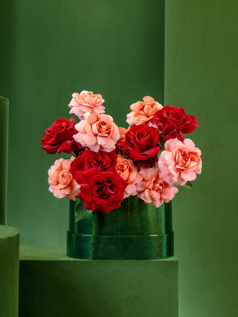 AMOUR ECLAIR - BLISS FLOWER BOUTIQUE