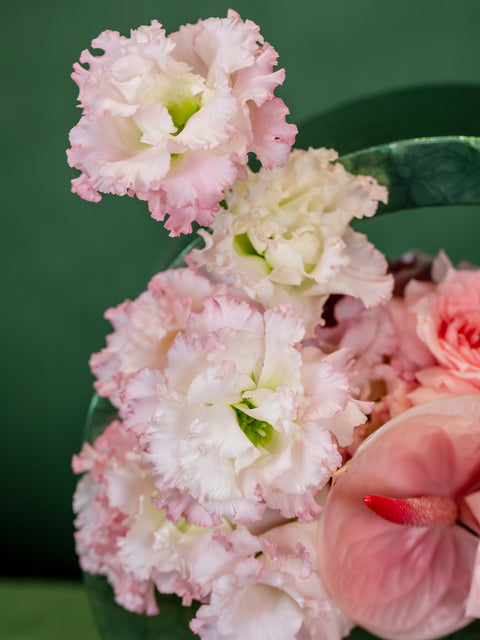 GUAVA MOUSSE CAKE - BLISS FLOWER BOUTIQUE