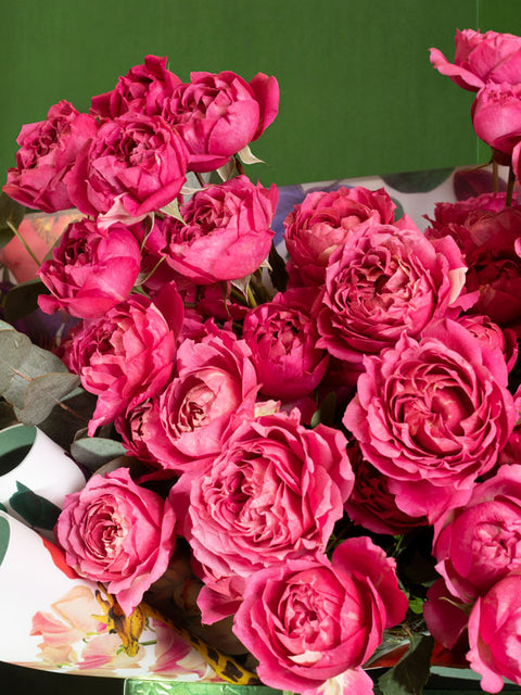 AZORES FIGS - BLISS FLOWER BOUTIQUE