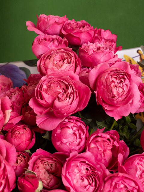 AZORES FIGS - BLISS FLOWER BOUTIQUE