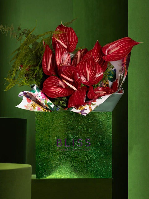 MARRAKECH BAKLAVA - BLISS FLOWER BOUTIQUE