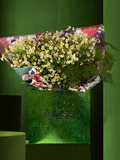 CAPRI LIMONCELLO - BLISS FLOWER BOUTIQUE