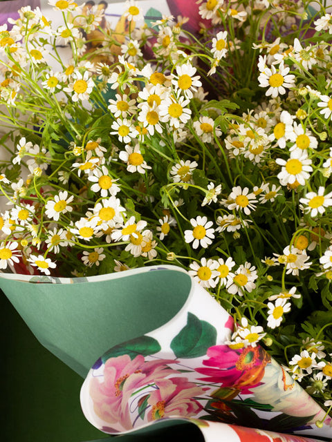 CAPRI LIMONCELLO - BLISS FLOWER BOUTIQUE