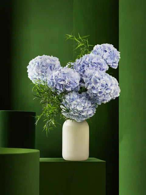 COTTON CANDY ICE CREAM - BLUE (13th - 17th October) - BLISS FLOWER BOUTIQUE