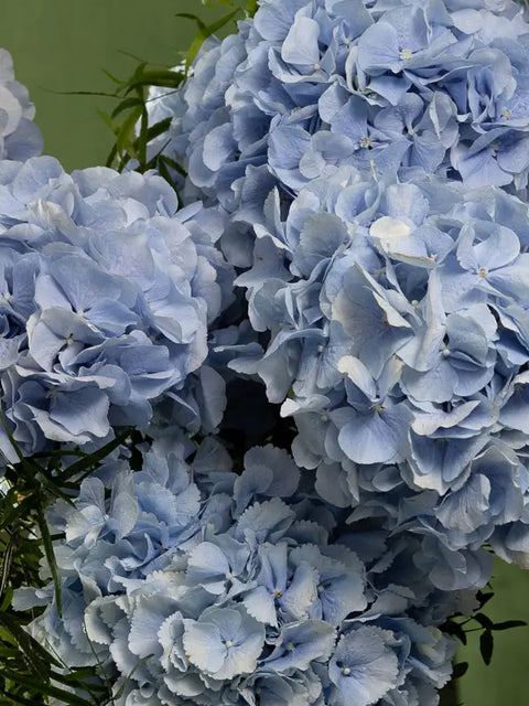 COTTON CANDY ICE CREAM - BLUE (13th - 17th October) - BLISS FLOWER BOUTIQUE