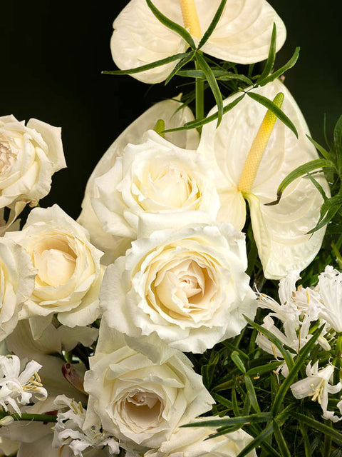 HONEYDEW SORBET - BLISS FLOWER BOUTIQUE