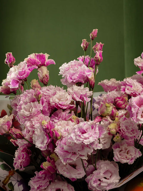 ISLAND PUNCH - PINK - BLISS FLOWER BOUTIQUE