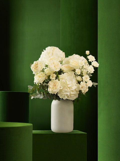 COCONUT - BLISS FLOWER BOUTIQUE