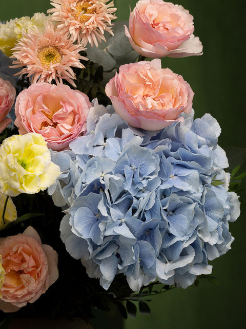 BABY BLUE CREAM DREAM - BLISS FLOWER BOUTIQUE