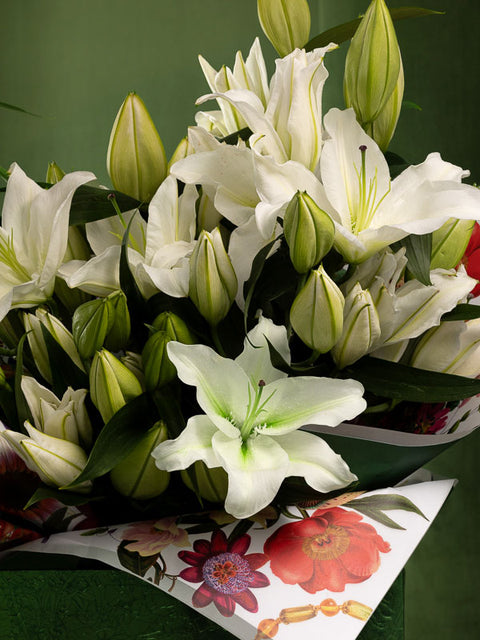 WHITE GRAPEFRUIT - BLISS FLOWER BOUTIQUE