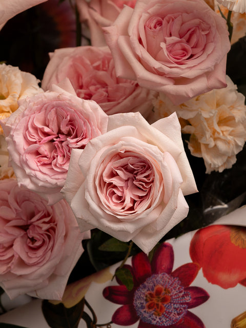 BABY PINK STRAWBERRY SWIRL - BLISS FLOWER BOUTIQUE