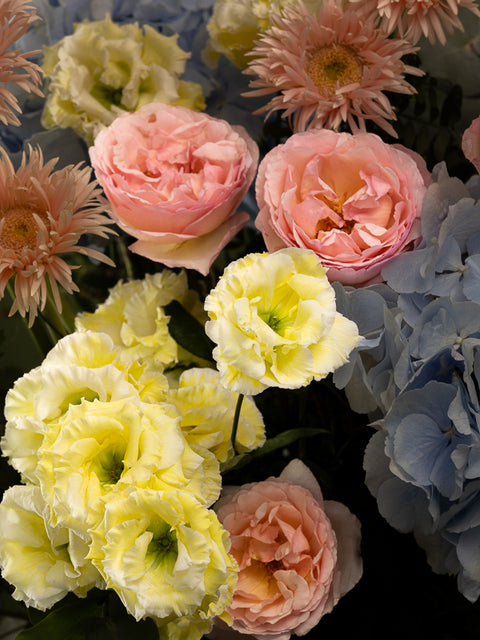 BABY BLUE CREAM DREAM - BLISS FLOWER BOUTIQUE