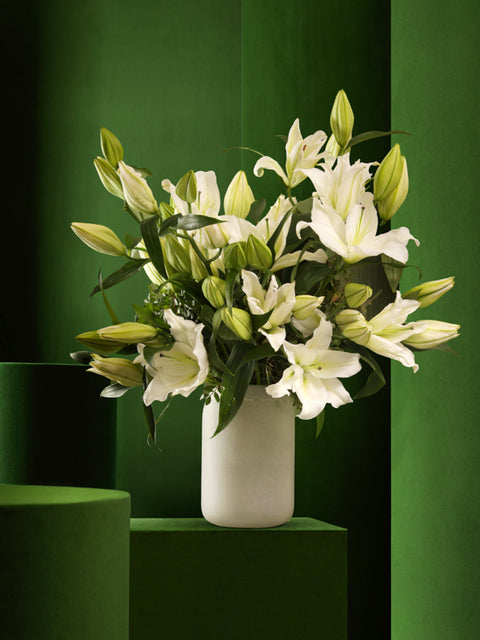 WHITE GRAPEFRUIT - BLISS FLOWER BOUTIQUE