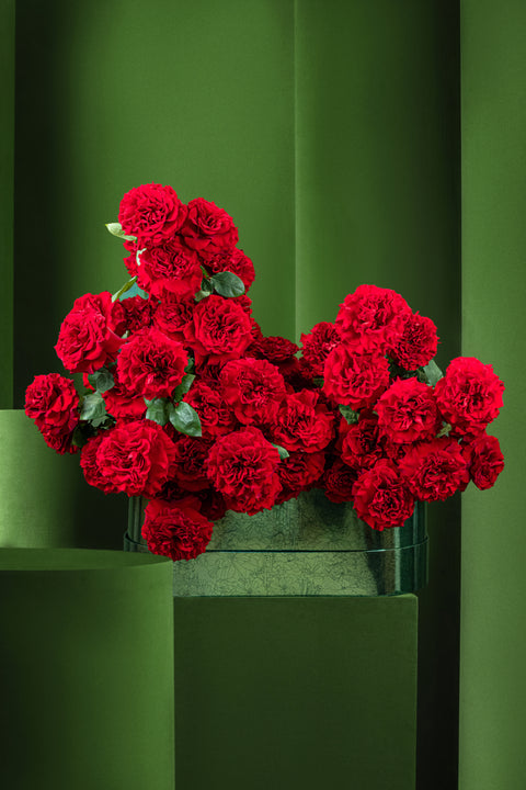 RASPBERRY PRALINE HEARTS