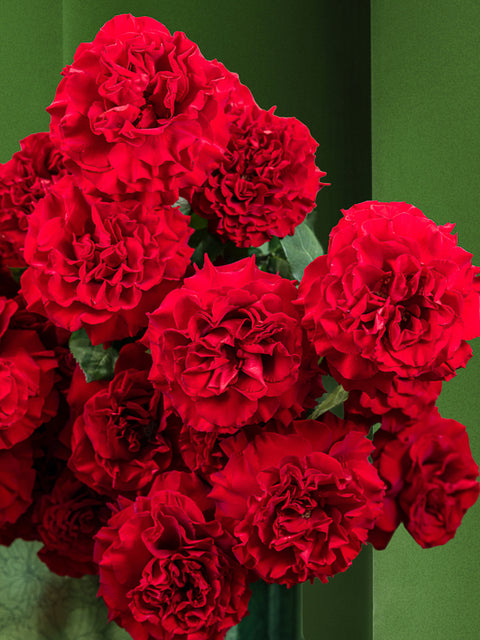 RASPBERRY PRALINE HEARTS