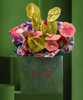 ITALIAN LEMONADE POPSICLE - BLISS FLOWER BOUTIQUE