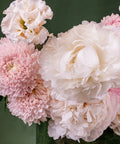 PINK ROSE CAKE POP - BLISS FLOWER BOUTIQUE