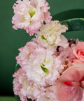 GUAVA MOUSSE CAKE - BLISS FLOWER BOUTIQUE