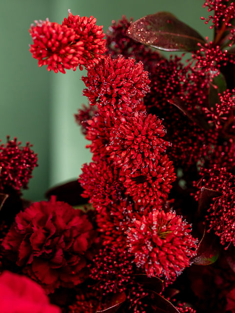 FROZEN CRANBERRY CAKE - TABLE CENTERPIECE