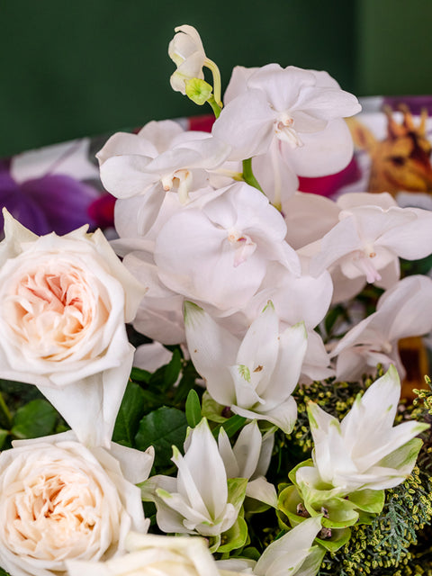 PISTACHIO MILK TIRAMISU