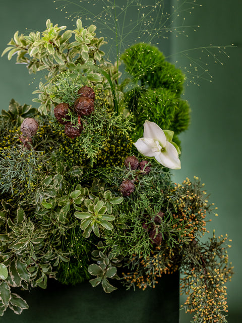 MATCHA WHITE CHOCOLATE COOKIE - TABLE CENTERPIECE