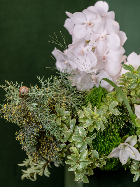 MATCHA WHITE CHOCOLATE COOKIE - TABLE CENTERPIECE