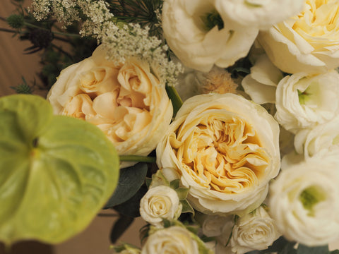 OPULENT PACKAGE - BLISS FLOWER BOUTIQUE