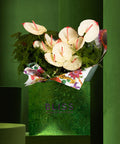 MALDIVES COCONUT SHORES - BLISS FLOWER BOUTIQUE