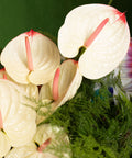 MALDIVES COCONUT SHORES - BLISS FLOWER BOUTIQUE