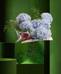 COTTON CANDY ICE CREAM - BLUE (13th - 17th October) - BLISS FLOWER BOUTIQUE