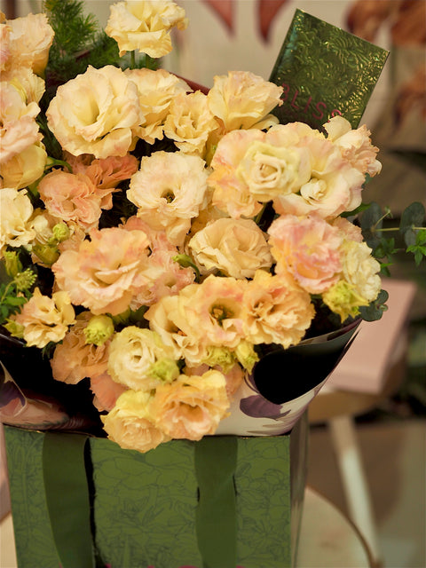 ISLAND PUNCH - CHAMPAGNE YELLOW