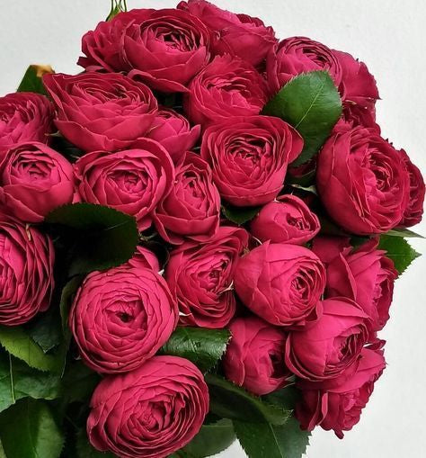 AZORES FIGS V - BLISS FLOWER BOUTIQUE