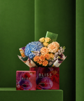 CAMPARI GARDEN (Gift Set Bundle) - BLISS FLOWER BOUTIQUE