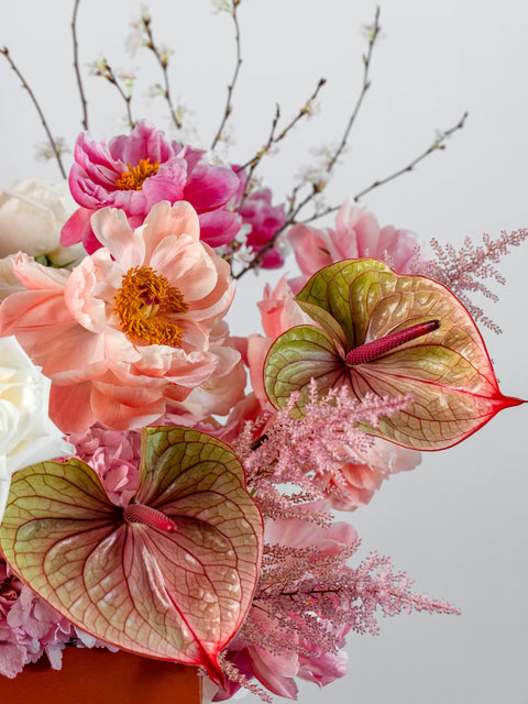 MEZZO PACKAGE - BLISS FLOWER BOUTIQUE
