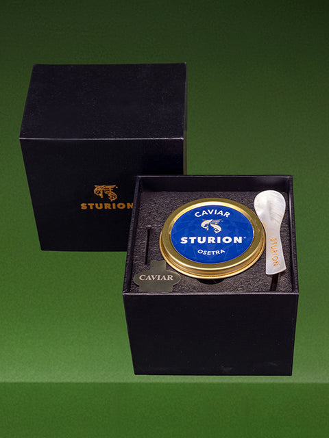 PLUM TARTELETTE (STURION CAVIAR) - BLISS FLOWER BOUTIQUE